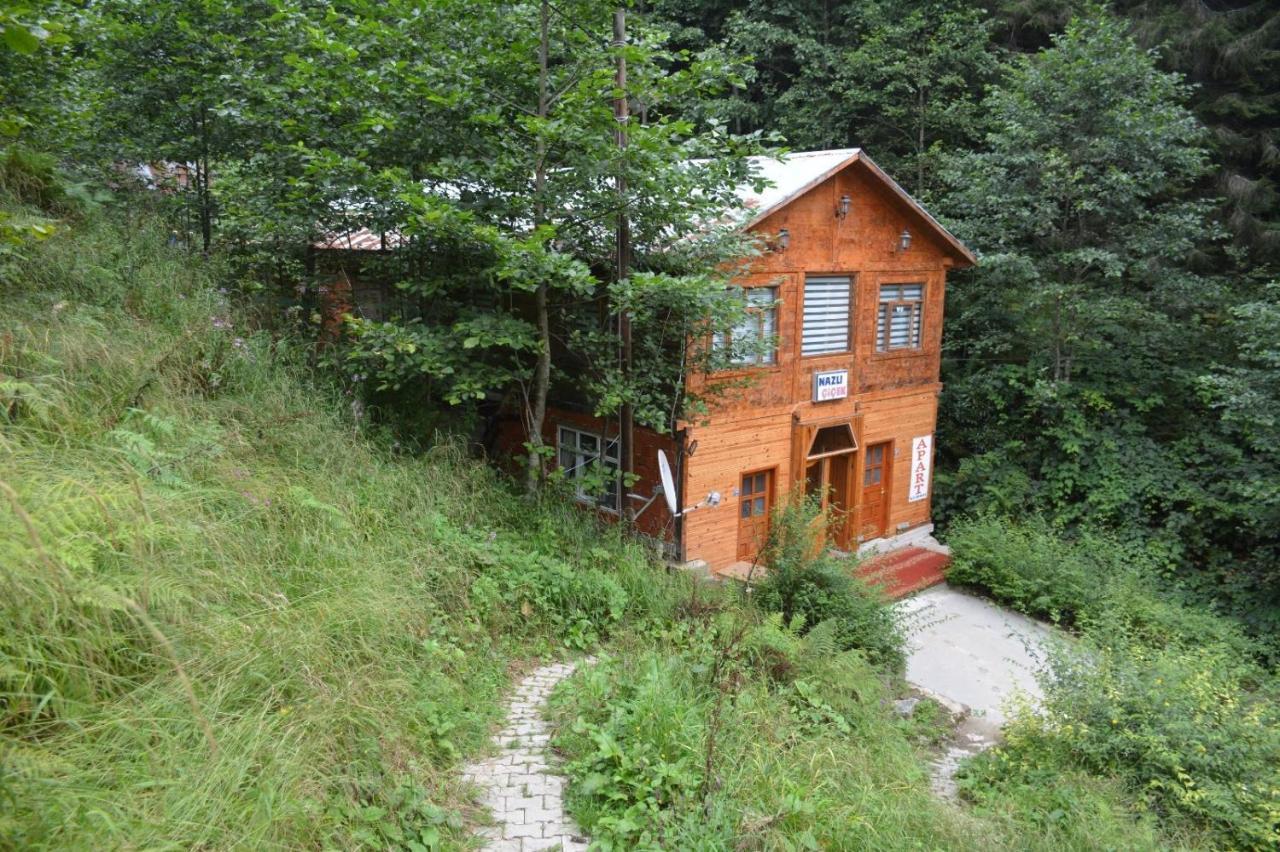 Ayder Nazli Cicek Apart Esterno foto