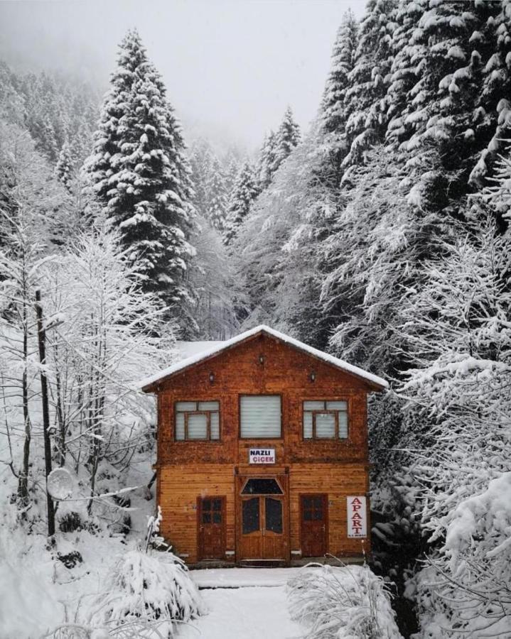 Ayder Nazli Cicek Apart Esterno foto